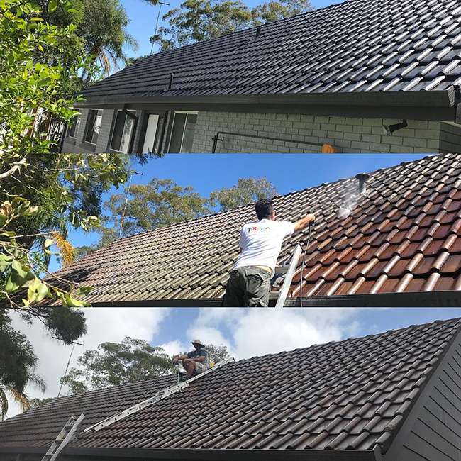 House roof painting services provided by sydney painting expert professional